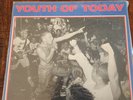 Youth of Today Break Down the Walls LP Vinyl Record 1987?