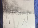 An Autumn For Crippled Children ‎– As The Morning .. vinyl LP shoegaze blackmeta