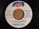 American Blues If I Were A Carpenter/All I Saw Was You RARE  Garage Pre ZZ Top