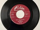 Sequins DOO WOP 45 Don't Fall In Love / Why Can't You Treat Me RED ROBIN M- HEAR