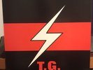 T.G. THROBBING GRISTLE 2nd ANNUAL REPORT  Industrial LP ALBUM VINYL MUTE UK 1978