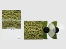 Dr. Dre - 2001 (25th Anniversary Edition) 2LP Vinyl LE/2001 - Presale | Trusted