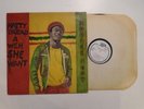 Horace Andy - Natty Dread A Weh She Want - Orig. new star Vinyl LP 1978