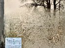 Bon Iver For Emma Forever Ago Vinyl LP Factory Sealed Free UK P&P