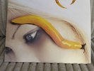 Thirteenth Step by A Perfect Circle (Record, 2003) Vinyl