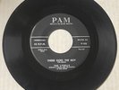The Lydells DOOWOP 45 There Goes the Boy / Talking To Myself PAM VG++/VG+++ HEAR