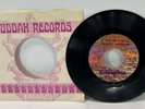 1969 Crystal Chandlier - Your Land Of Love - 7