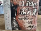 Limp Bizkit - Three Dollar Bill Yall 12