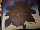 Thin Lizzy “Black Rose”