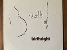 Birthright - Breath of Life LP VG+ RARE SPIRITUAL SOUL JAZZ FUSION PRIVATE PRESS