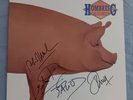 Hombres G - Estamos Locos... O Que? Vinyl **Firmado**, Bunbury,Zoe,Caifanes