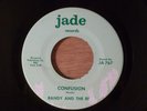 Randy And The Rest Dreaming/Confusion RARE  Garage, Psych 1967 Jade Records