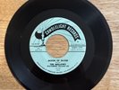 RARE The Mellows Moon Of Silver, You’ve Gone Doo Wop R&B Soul 45 Record