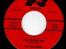 GEORGIA FUZZ GARAGE 45 -THE MALIBUS - I'VE GOTTA GO/I WANT YOU TO KNOW-HEAR