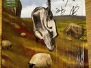 English Teacher Green Vinyl LP This Could Be Texas Fully HAND SIGNED New Mint