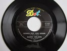 ROCKABILLY Barry Wilson GONNA PUT YOU DOWN The Bug DOT #16462 VG++