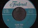 LITTLE WILLIE LITTLEFIELD: falling tears / goofy dust blues FEDERAL 7