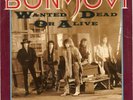 Bon Jovi Wanted Dead Or Alive / Id Die For You Vinyl Single 7inch Mercury