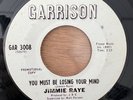 Jimmie Raye - You Must Be Losing Your Mind / 7