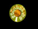 CARLOS, JERRY BAGO NATIONAL SKA /PRINCE BUSTER ALL STARS CALL ME
