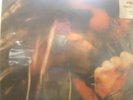 george michael faith vinyl 
