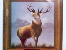 Killdozer - Twelve Point Buck * Vinyl Lp * 1st Press * 1989 * Free P&P UK *