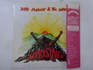 Bob Marley & The Wailers Uprising Island Records 20S-89 Japan Shrink  LP OBI
