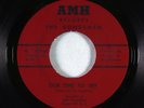 Garage Psych Fuzz 45 - Bondsmen - Our Time To Try - AMH VG+