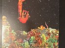 Mad Conductor vinyl record Renegade Space Rock