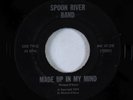 Private Rock Funk 45 - Spoon River Band - Made Up In My Mind - unknown?