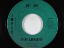 Psych 45 - Steve Carpenter - Am I Lost - Impex