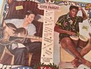 elvis presley vinyl LP. From The Beach To The Bayou.