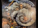The Moody Blues a Question of Balance THS-3 Gatefold Vinyl Record SEALED PROMO