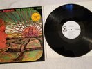 Rebirth The Children LP WLP PROMO SD 33-271