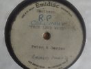 PETER AND GORDON TRUE LOVE WAYS ACETATE