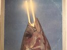 REO SPEEDWAGON – YOU CAN TUNE A PIANO, BUT YOU CAN'T TUNA FISH - VINYL LP VG+ 60
