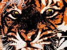 SURVIVOR Eye Of The Tiger Vinyl Record Album LP Scotti Brothers 1982 1st & Rock