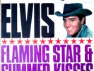 EX ELVIS PRESLEY Flaming Star & Summer Kisses VINYL LP MONO RCA 1965 RD 7723