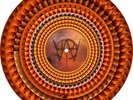 Muse - Will of the People ZOETROPE Color Vinyl LP (Hand Numbered 3087/8000) NEW