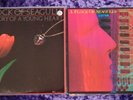 A FLOCK OF SEAGULLS - 2 x LP LOT