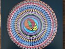 Grateful Dead From The Mars Hotel 50th Anvs. Zoetrope Picture Disc Vinyl