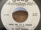 El Trio Bernal aka El Conjunto Bernal  45 RPM Tejano Norteño VG ++