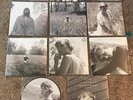 Taylor Swift Folklore Vinyl Set -11 Records Picture Disc Voice Memo NEW Cardigan