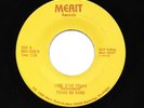Texas BS Band She Ran Off With A Nig.. Lone Star Polka Merit Records M45-2509 NM