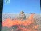 The Maccabees – Given To The Wild -  2 X LP  VINYL NEW SEALED