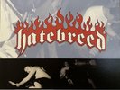 Hatebreed – Satisfaction Is The Death Of Desire 12