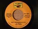 Timmy Thomas What's Bothering Me/Dizzy Dizzy World RARE  Florida Northern Soul