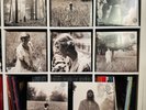 Taylor Swift - Folklore (16LPs) Complete Vinyl Set in 8 Color Variants (Sealed)