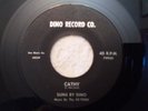DINO 45 Music By The Ex-Teens CATHY on DINO RECORD LABEL 79920