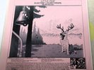 LP TMOQ TAKRL Kornyphone LITTLE FEET Electrif Lycanthrope (Be Bop Deluxe) EX+